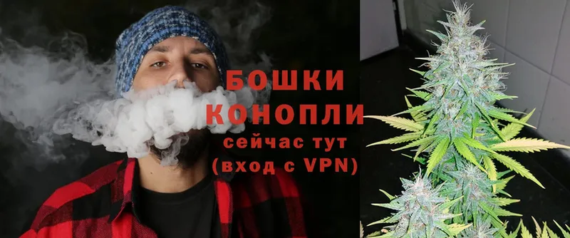 Бошки Шишки THC 21%  Нытва 